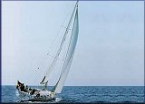 yacht1